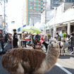 動物に触れる「ふれあい動物園」は子供に大人気！