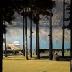 ザ・プリンス 箱根芦ノ湖から湖畔に向かうと、木々の隙間から桟橋が見えてくる。（芦ノ湖）