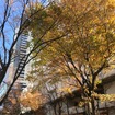 年の瀬