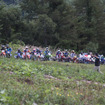 【JNCC10耐G】新しい耐久レースの歴史が始まった！ 夏の爺ヶ岳10時間［フォトレポート］