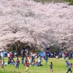 国営昭和記念公園（東京都）　(AC)