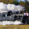 C11 325がけん引した2018年の真岡鐵道『SL新年号』。