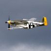 P-51マスタング保存機