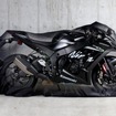 装着事例：カワサキ ZX-10RR（ZXT02E）