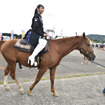 オートポリスイベント広場