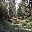 久留里線の被災状況。倒木が発生した上総松丘～上総亀山間。