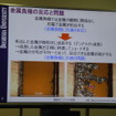 金属負極がデンドライト成長する様子
