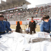 【Fニッポン第1戦】写真蔵…決勝グリッド