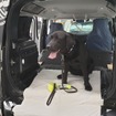 ランドローバー・ディフェンダー 新型と荷室の犬