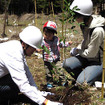 昭和シェル石油、富士山の森づくりプロジェクトを支援