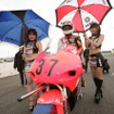 【MFJ 全日本ロードレース 第2戦】写真蔵…GP250クラス