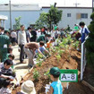 横浜ゴム、三重工場で苗木5500本を植樹