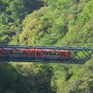 7月下旬に再開する予定の箱根登山鉄道箱根湯本～強羅間。写真は3100形。