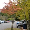 “ダイサン”東京旧車会