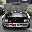 ビートル、ランチア、ヨタハチ、NSXまで！　長野のクルマ好きが愛する「名車」圧巻68台…飯田・南信州名車倶楽部