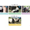 「ありがとうシャンシャン」東京メトロオリジナル24時間券発売