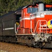 来シーズンはC57 1やD51 200の代役を務めるDD51。いまや、JRグループ旅客6社では、JR東日本とJR西日本のみに在籍する貴重な機関車となっている。