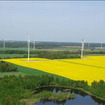 三井物産、ポーランドの風力発電所が営業運転を開始