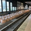 準備が進められている札幌駅11番線予定地。この部分の高架下商業施設も消えている。2020年11月。