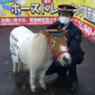 ミニチュアポニーのナギサちゃんと吉田駅長