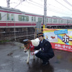 ミニチュアポニーが京急の馬堀海岸駅の1日駅長に就任。任命式の会場は旧駅舎跡地。