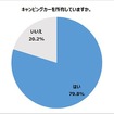 キャンピングカーを所有していますか？