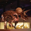 恐竜科学博(9月12日まで)