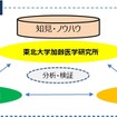 3者による共同研究体制