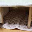 中はこんな感じ