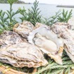 能登牡蠣