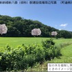 新八雲駅（仮称）の建設現場周辺。