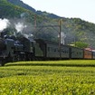 大井川鐵道のSL列車