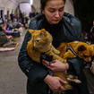 ロシアの侵攻から地下鉄構内に避難するキエフ市民。猫の名前はガーフィールド、犬はヨーダ（3月2日）