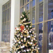 【クリスマス】サンタも登場！パサール幕張でチャリティーイベント　12月25日まで