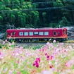 京都丹後鉄道