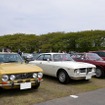 さくらモーニングクルーズVol.113