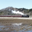 1999年5月から留萌本線で運行を開始した『SLすずらん号』の試運転列車。この列車もNHK朝の連ドラにちなんだものだったが、2006年が最後の運行となった。牽引機のC11形蒸気機関車171号機は現在もJR北海道に在籍している。1999年4月29日。