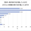 どのくらいの規模の旅行を計画してますか。