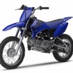 ヤマハ TT-R110E