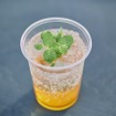 オリジナルドリンクORIGINAL CLEAN DRINK（アイス）