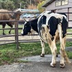 東北サファリパーク