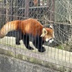 東北サファリパーク
