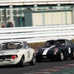 アルファロメオ1300GT Jrと連ハムGT