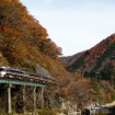 キハ85系