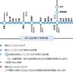 新たにICOCAが導入される駅。