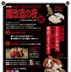 「魔改造の夜」展チラシ。出演予定の矢野武は市川勝也に変更