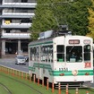 芝生軌道を走る1350形。