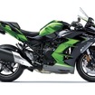 Ninja H2 SX SE