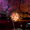 今回は特別に桜バージョンになっており、桜のアートオブジェにスマートフォンをかざすと、地面に映し出された桜の蕾がデジタルの花を咲かせる。