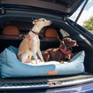 ベントレーが参加する英国の愛犬家イベント「グッドウーフ・フェスティバル」
